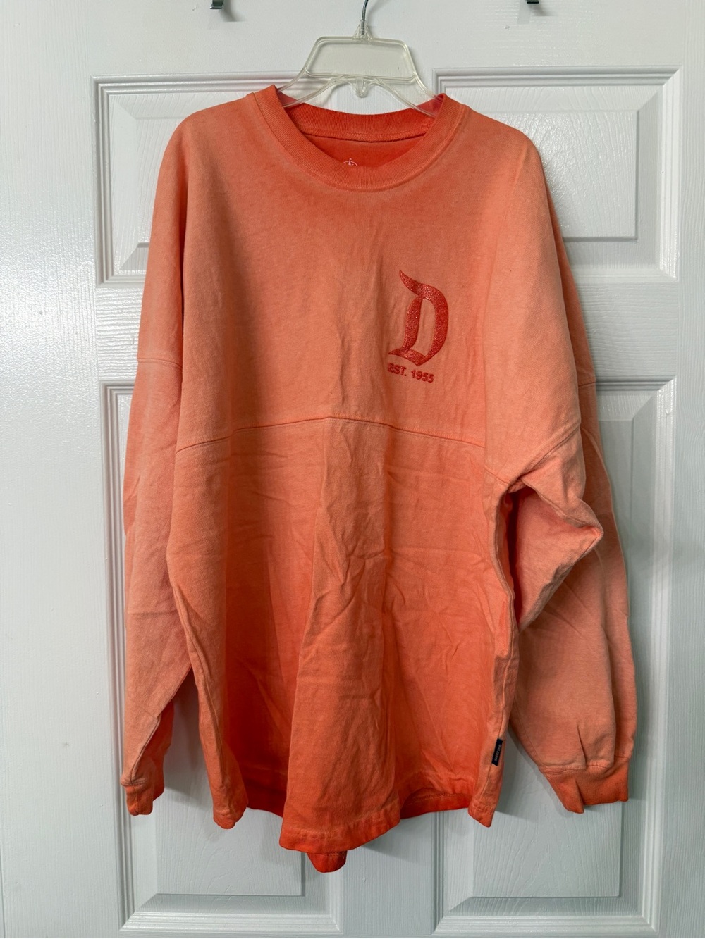 Disney Spirit Jersey